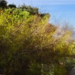 Casa Sul Mare By Casa Di Marco